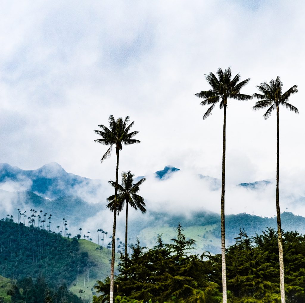 Valle de cocora