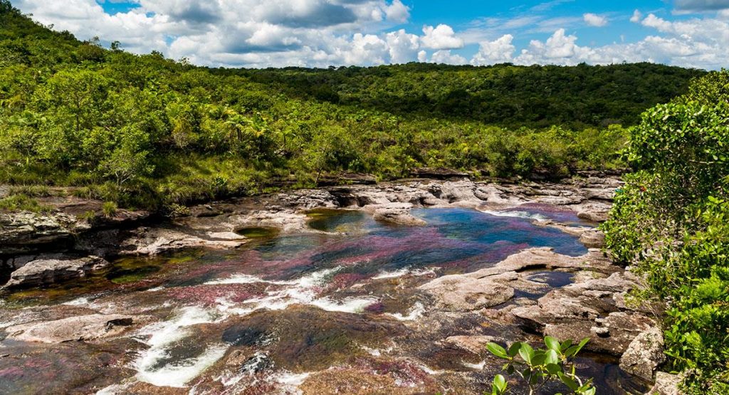 cuales son los parques nacionales de colombia